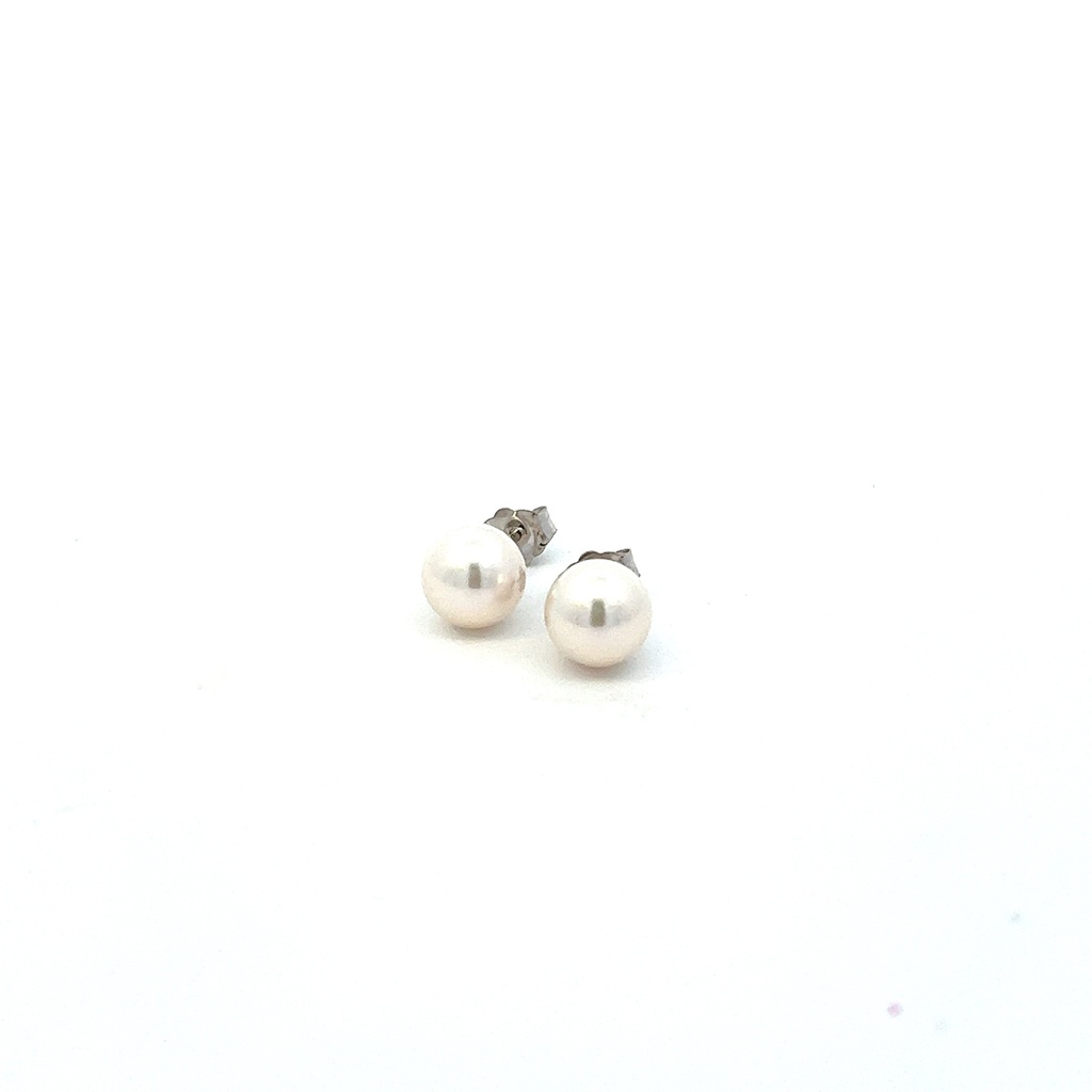 14Kt White Gold 7.5mm Cultured Pearl Stud Earrings