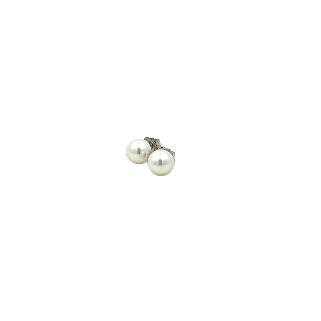 14Kt White Gold 6.5mm Pearl Stud Earrings