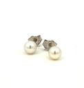 [5CPEW] 14Kt White Gold 5mm Cultured Pearl Stud Earrings